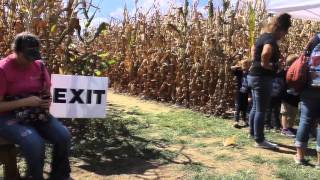 Fall On The Farm Continues To Teach Kids About Agriculture
