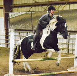 Chalice Keith/The News
Laura Ganvik, sophomore from Union, Illinois, helped the equestrian team win the championship at the Murray State show. The team finished its regular season and Regional competitions Feb. 19 and 20.