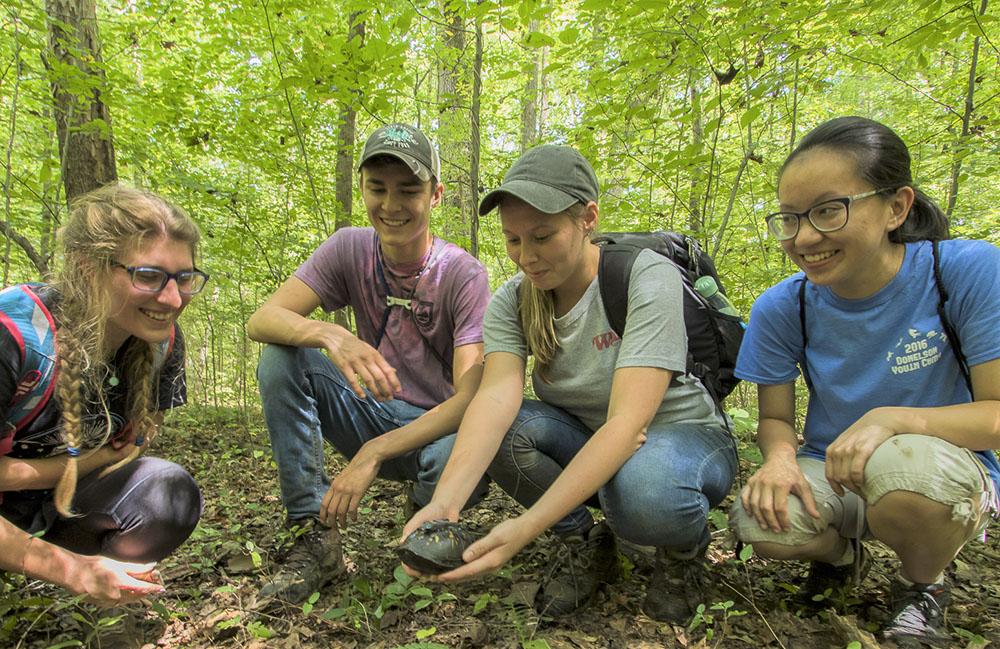 Wildlife biology students use GPS tracking devices they developed to locate box turtles. (Photo courtesy of Murray State University)