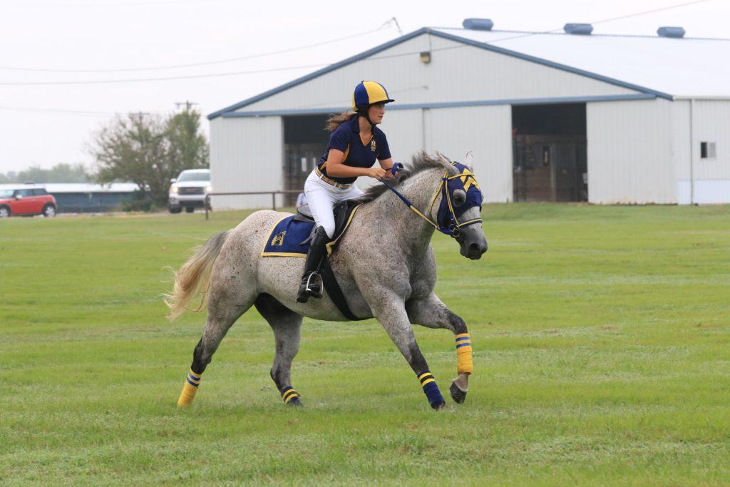 Junior pre-vet major Emily Helmick rides Vegas at the Murray State Equine Center. (Photo courtesy of Emily Helmick)