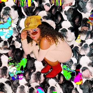 Remi Wolf’s album cover features her against a background of dogs (Photo courtesy of Spotify).