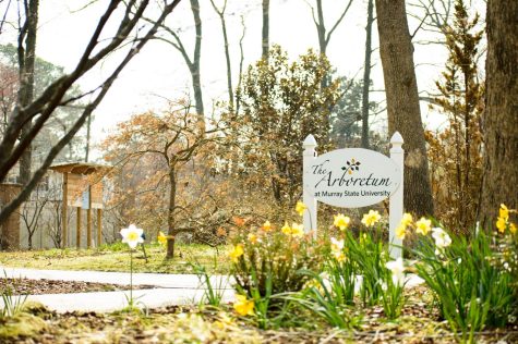The Murray State Arboretum, located on 300 Hickory Dr., is set to host a plant sale featuring an array of household plants on March 3. (Jayden Hayn/The News)