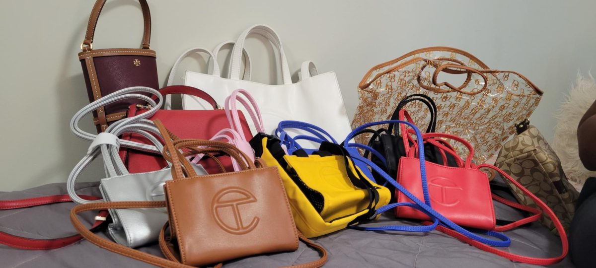 %28From+top+left+to+right%29%3A+MCM+bag%2C+large+Telfar+shopper%2C+Clear+Dooney+%26+Bourke+handbag.+%28from+bottom+left+to+right%29%3A+red+medium+Telfar+shopper%2C+Telfar+minis+in+various+colors.+