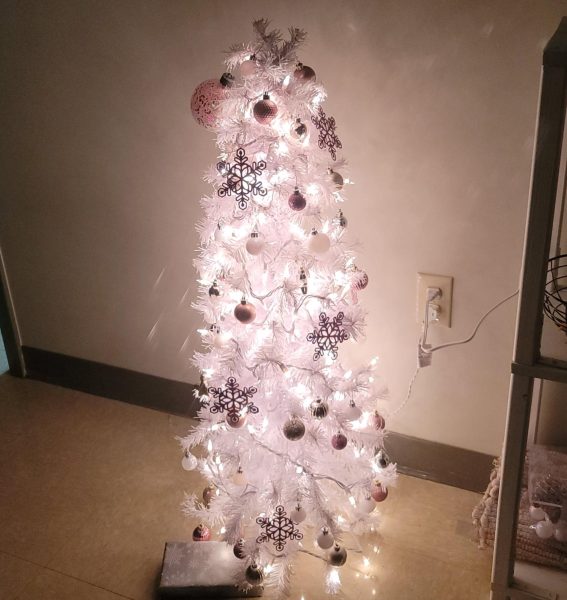 A little Christmas tree is more than enough to light up the dorm. 