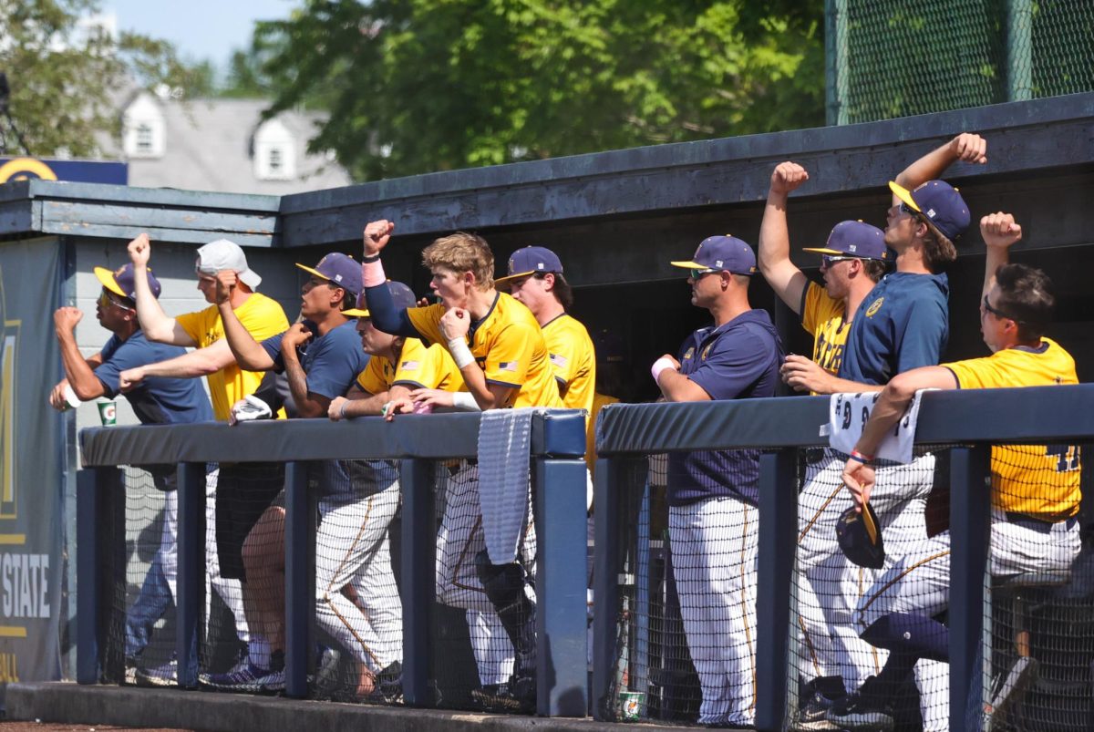 The dugout celebrates a base hit. 