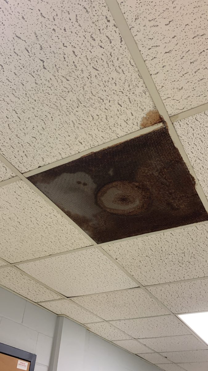 Water damage in buildings on campus.