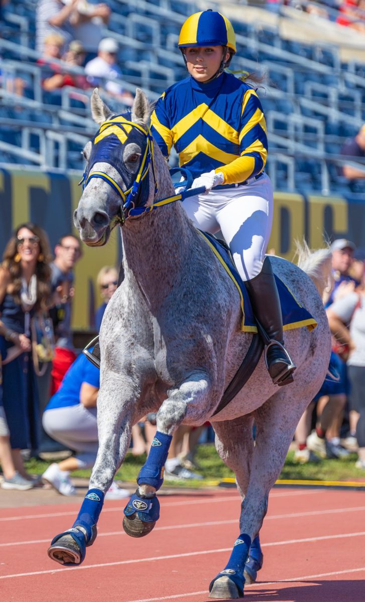 Racer One and jockey Madison Presley run the track before the game. 