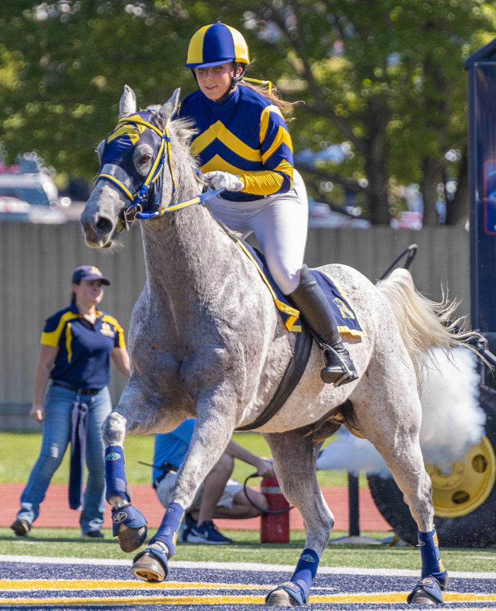 Racer One and jockey Madison Presley leads the team out of the starting gates. 