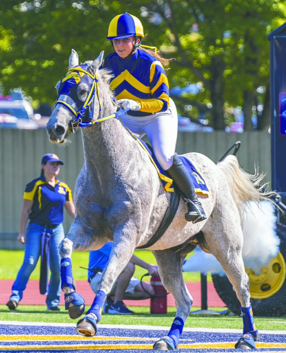 Racer One jockey Madison Presley rides current Racer One horse, Vegas