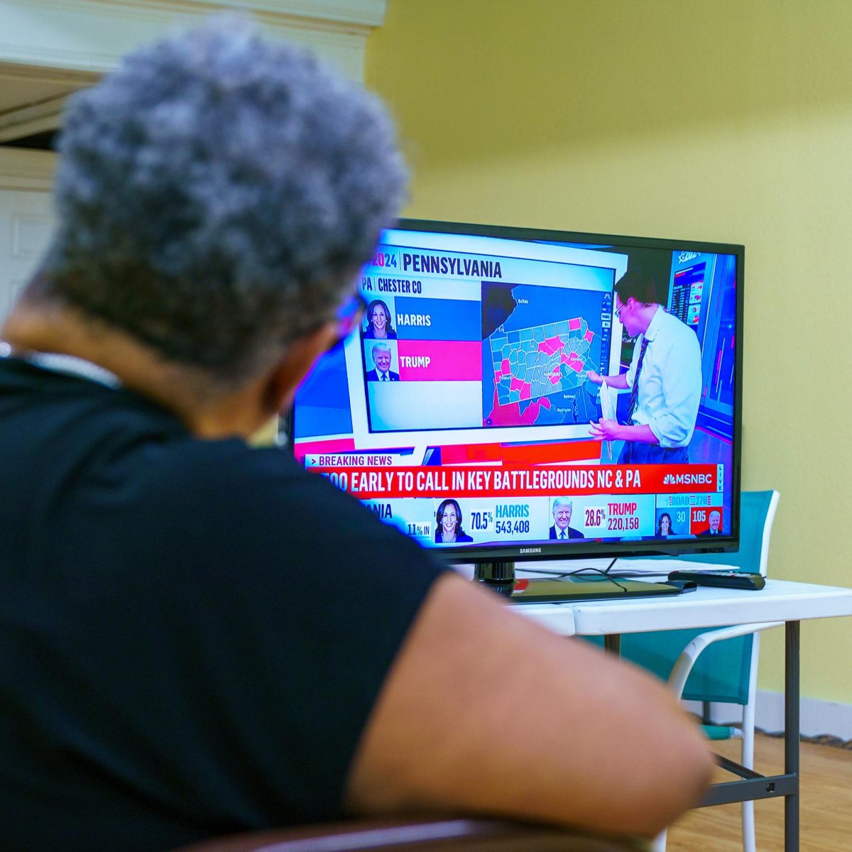 A supporter of the Democratic party watches the results of the election.