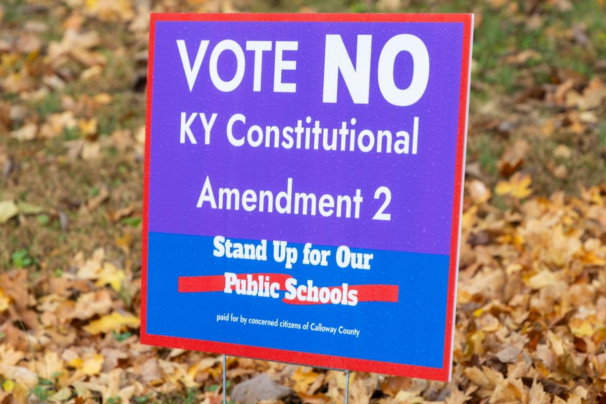 Residents of Murray and Calloway County showed support for their parties by displaying signs. 