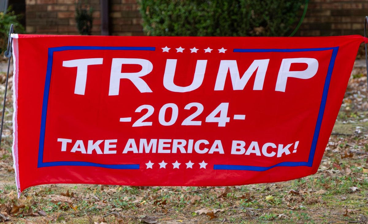 Residents of Murray and Calloway County showed support for their parties by displaying signs. 