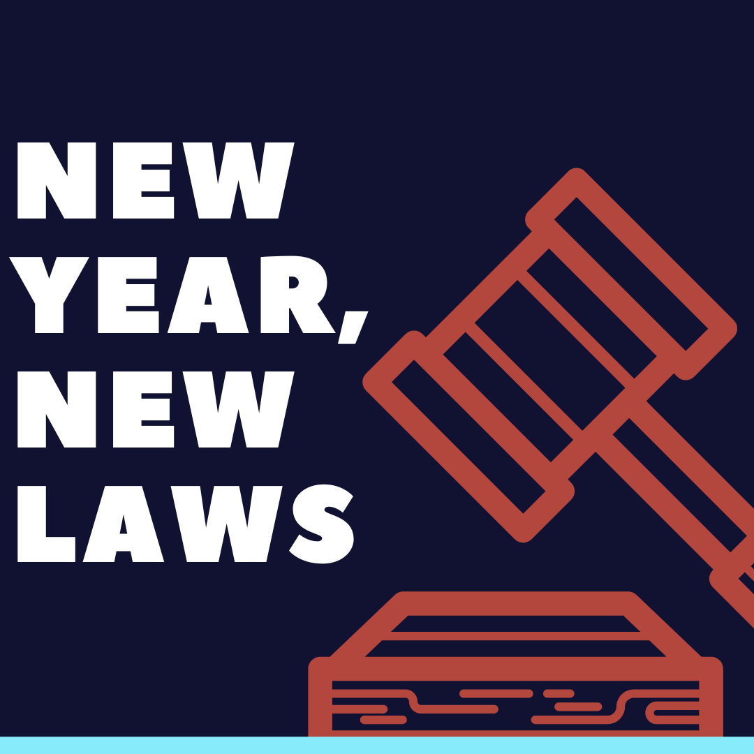 2025 laws that shape the year ahead