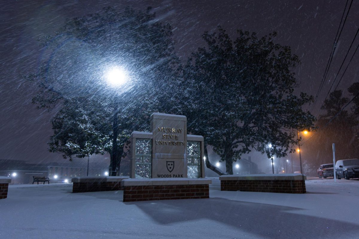 PHOTOS: Snow day photo gallery