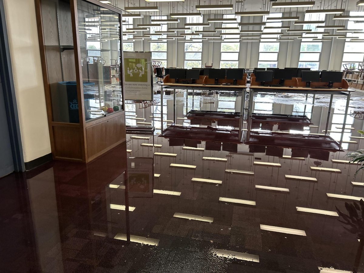 The aftermath of a burst pipe in Waterfield Library.