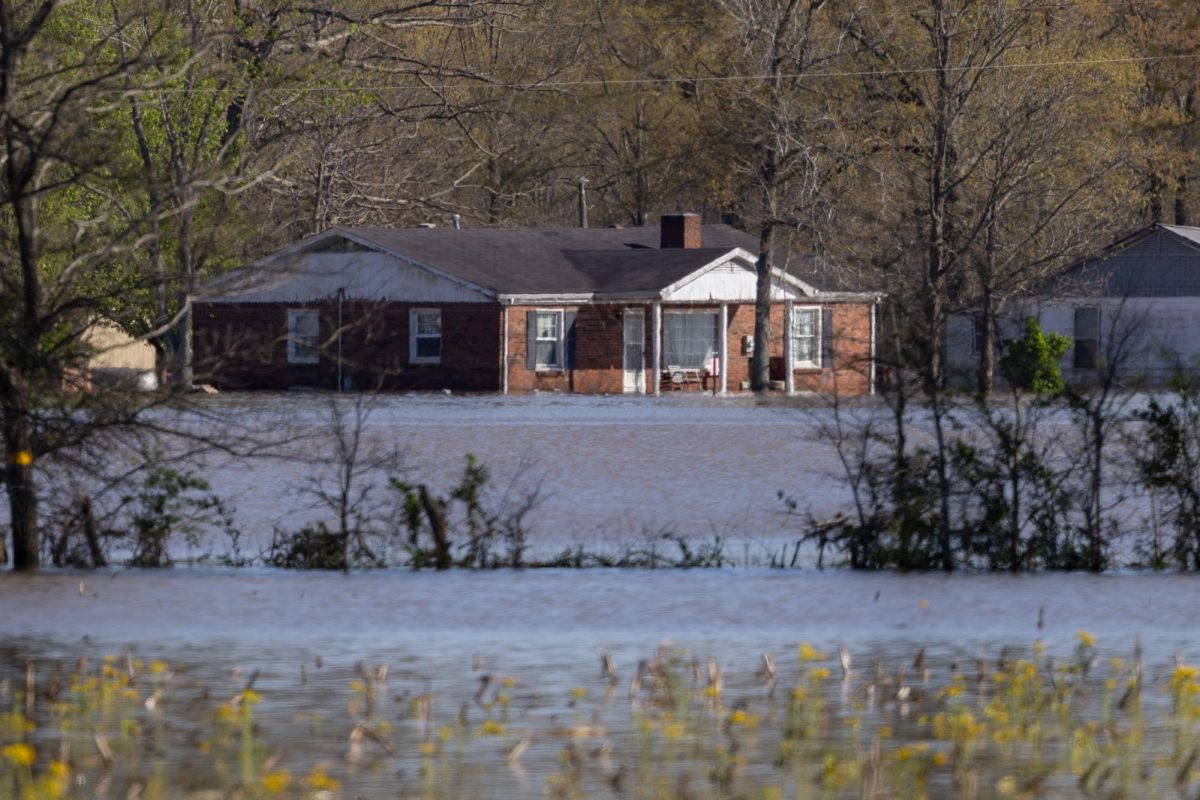Many houses on Husband Road in Paducah have flooded due to the torrential rain and rising water levels.