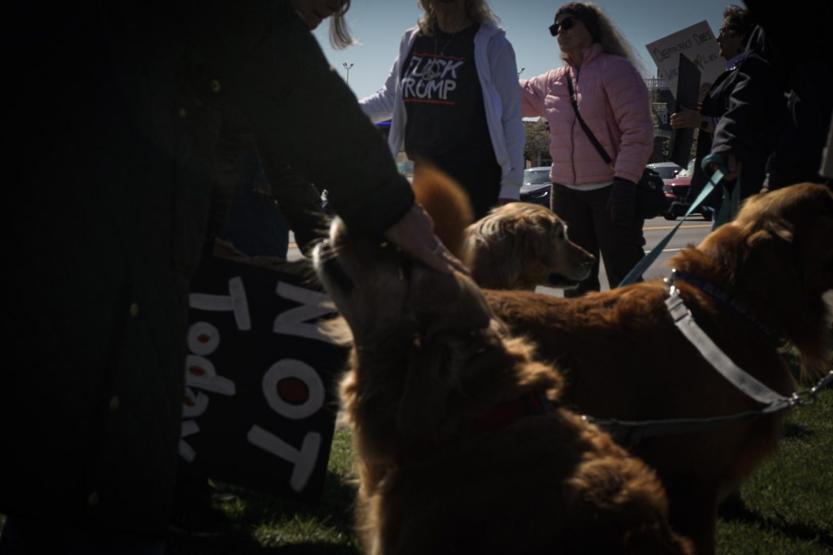 Car swerves into No Kings protesters in Murray